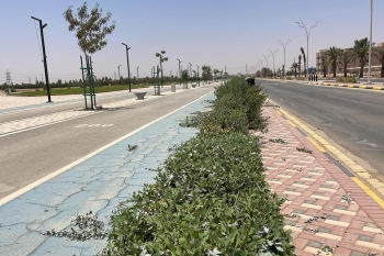 صورة