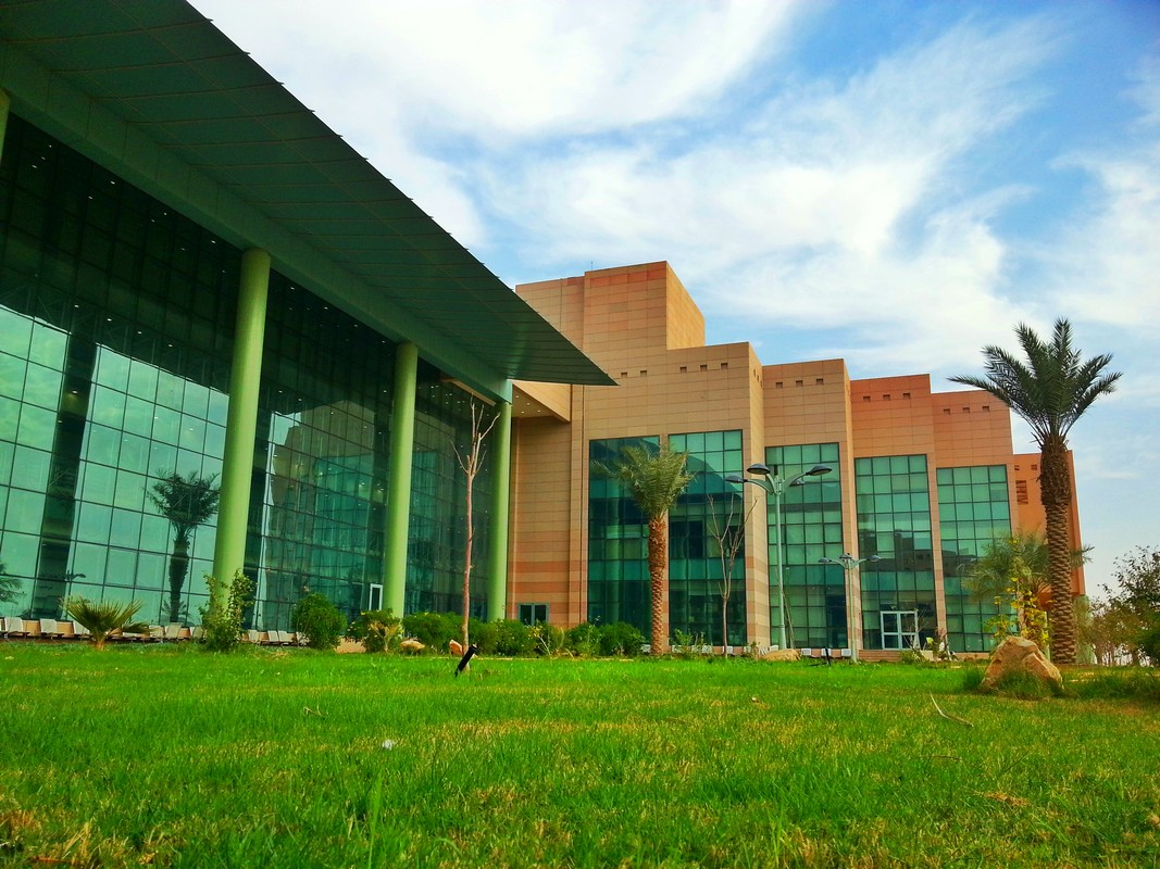 صورة 2