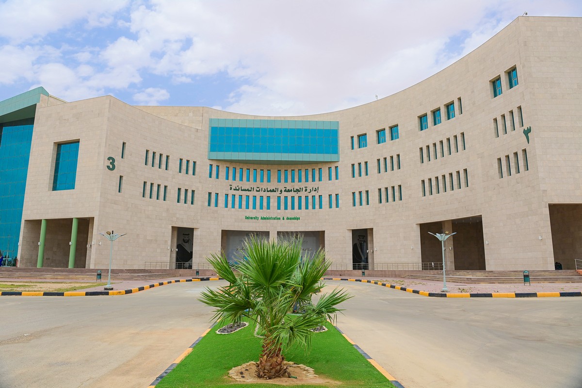 صورة 2