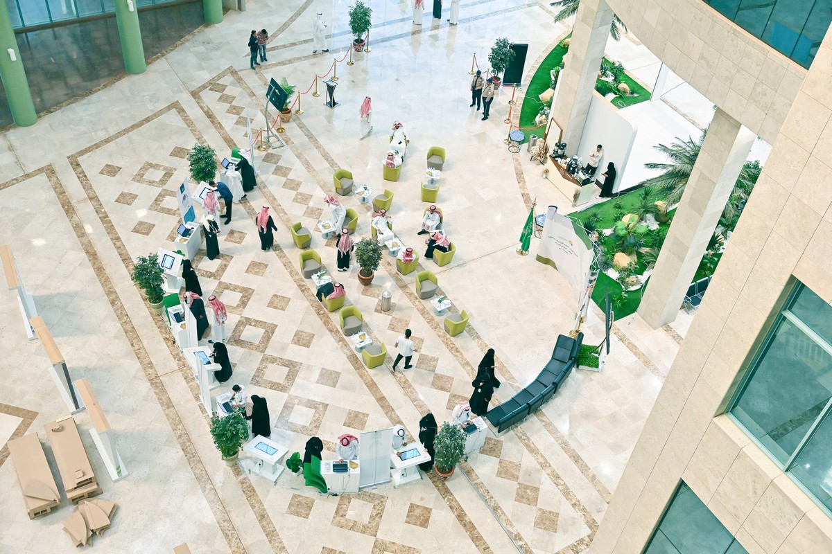 صورة 2