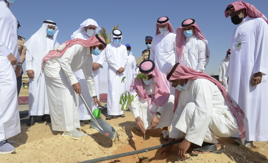 الجامعة تطلق مبادرة حملة تشجير المدينة الجامعية تحت مسمى ( مدينة جامعية خضراء ) .